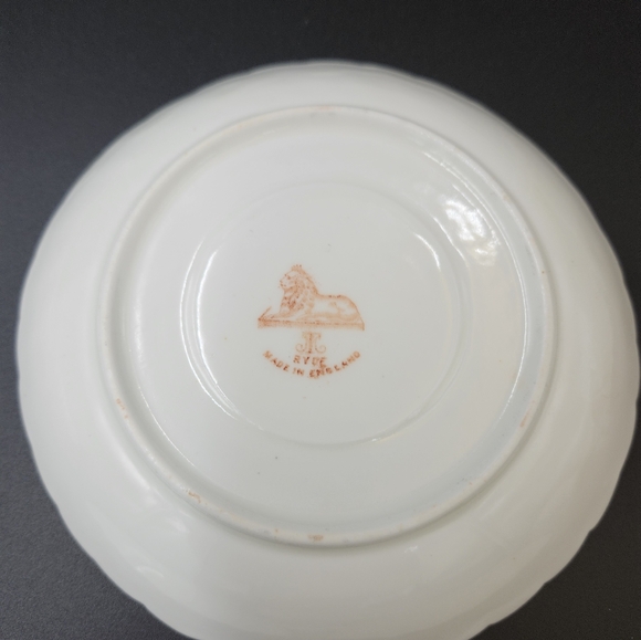 Spode Ryde T-Cup and Saucer - Picture 13 of 13